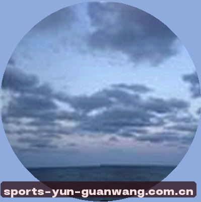 郑涛